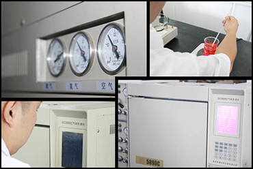 检查照片和表格