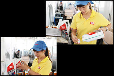 检查照片和表格