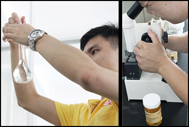 检查照片和表格